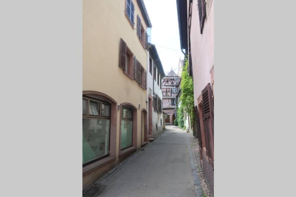 Vila Chey Mybam, Agreable Maison Au Centre De Sélestat Exteriér fotografie