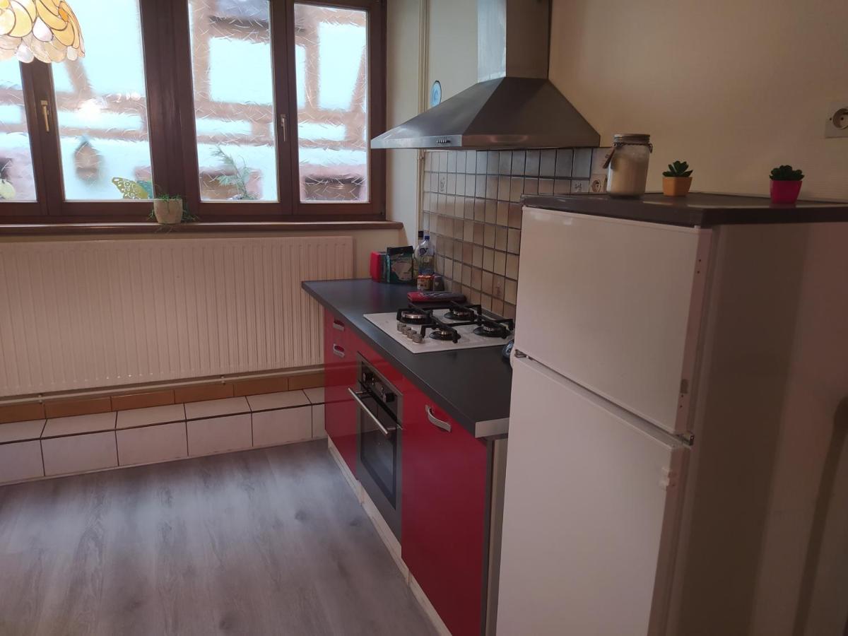Vila Chey Mybam, Agreable Maison Au Centre De Sélestat Exteriér fotografie